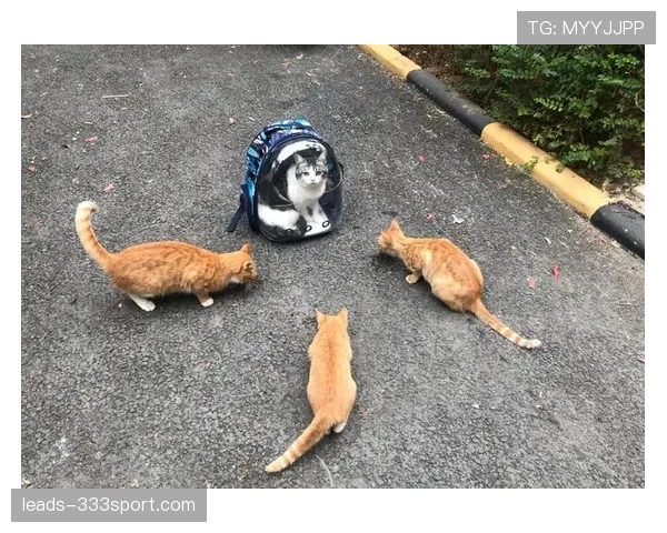 阿德托昆博又买豪车了,这日常谁顶得住? 阿德托昆博又买豪车了,这日常谁顶得住?
